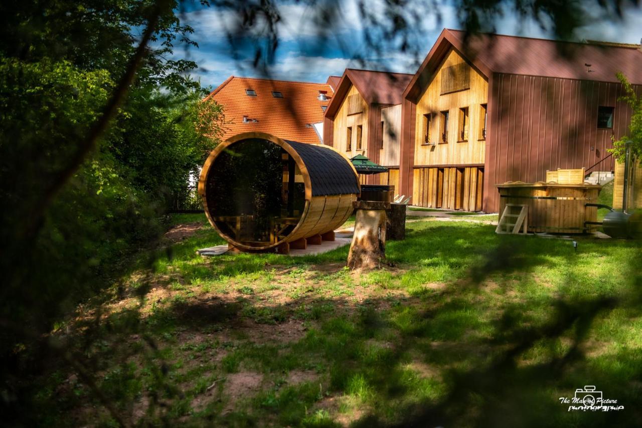 Logis Hotel Altitude Et Spa Pierre-Percée Buitenkant foto